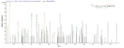 Based on the SEQUEST from database of E.coli host and target protein, the LC-MS/MS Analysis result of this product could indicate that this peptide derived from E.coli-expressed Homo sapiens (Human) NR1H4.Recombinant Human Bile Acid Receptor (NR1H4) Protein (His-SUMO)