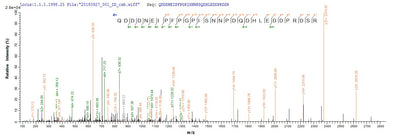 Based on the SEQUEST from database of E.coli host and target protein, the LC-MS/MS Analysis result of this product could indicate that this peptide derived from E.coli-expressed Reston ebolavirus (strain Philippines-96) (REBOV) (Reston Ebola virus) NP.Recombinant Reston Ebolavirus Nucleoprotein (NP) Protein (His-SUMO)