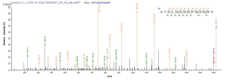 Based on the SEQUEST from database of E.coli host and target protein, the LC-MS/MS Analysis result of this product could indicate that this peptide derived from E.coli-expressed Reston ebolavirus (strain Philippines-96) (REBOV) (Reston Ebola virus) NP.Recombinant Reston Ebolavirus Nucleoprotein (NP) Protein (His-SUMO)