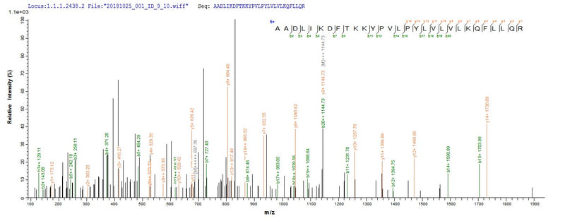 Based on the SEQUEST from database of E.coli host and target protein, the LC-MS/MS Analysis result of this product could indicate that this peptide derived from E.coli-expressed Homo sapiens (Human) TENT4B.Recombinant Human Terminal Nucleotidyltransferase 4B (PAPD5) Protein (His)