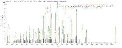 Based on the SEQUEST from database of E.coli host and target protein, the LC-MS/MS Analysis result of this product could indicate that this peptide derived from E.coli-expressed Homo sapiens (Human) TENT4B.Recombinant Human Terminal Nucleotidyltransferase 4B (PAPD5) Protein (His)