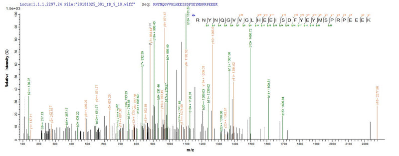 Based on the SEQUEST from database of E.coli host and target protein, the LC-MS/MS Analysis result of this product could indicate that this peptide derived from E.coli-expressed Homo sapiens (Human) TENT4B.Recombinant Human Terminal Nucleotidyltransferase 4B (PAPD5) Protein (His)