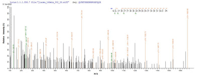 Based on the SEQUEST from database of E.coli host and target protein, the LC-MS/MS Analysis result of this product could indicate that this peptide derived from E.coli-expressed Homo sapiens (Human) PIBF1.Recombinant Human Progesterone-Induced-Blocking Factor 1 (PIBF1) Protein (His&Myc)