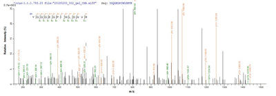 Based on the SEQUEST from database of E.coli host and target protein, the LC-MS/MS Analysis result of this product could indicate that this peptide derived from E.coli-expressed Mus musculus (Mouse) Loxl4.Recombinant Mouse Lysyl Oxidase Homolog 4 (LOXL4) Protein (His)