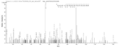 Based on the SEQUEST from database of E.coli host and target protein, the LC-MS/MS Analysis result of this product could indicate that this peptide derived from E.coli-expressed Homo sapiens (Human) LOXL4.Recombinant Human Lysyl Oxidase Homolog 4 (LOXL4) Protein (His)