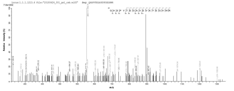Based on the SEQUEST from database of E.coli host and target protein, the LC-MS/MS Analysis result of this product could indicate that this peptide derived from E.coli-expressed Homo sapiens (Human) LOXL4.Recombinant Human Lysyl Oxidase Homolog 4 (LOXL4) Protein (His)