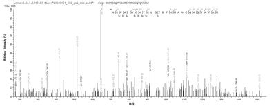 Based on the SEQUEST from database of E.coli host and target protein, the LC-MS/MS Analysis result of this product could indicate that this peptide derived from E.coli-expressed Homo sapiens (Human) LOXL4.Recombinant Human Lysyl Oxidase Homolog 4 (LOXL4) Protein (His)