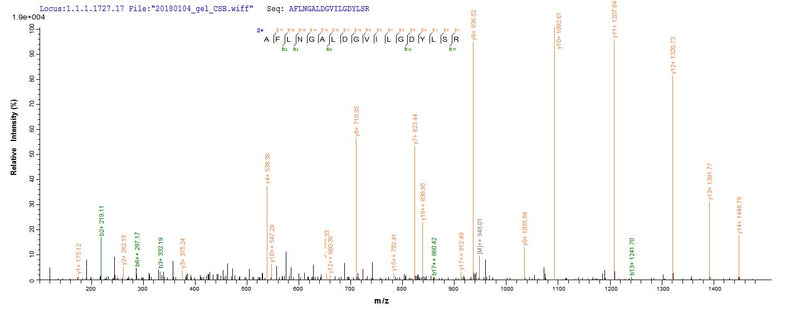 Based on the SEQUEST from database of E.coli host and target protein, the LC-MS/MS Analysis result of this product could indicate that this peptide derived from E.coli-expressed Homo sapiens (Human) PGLYRP2.Recombinant Human N-Acetylmuramoyl-L-Alanine Amidase (PGLYRP2) Protein (His-SUMO)