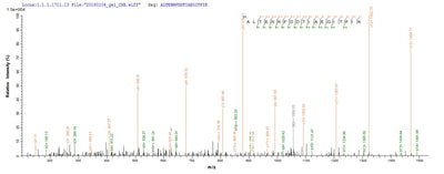 Based on the SEQUEST from database of E.coli host and target protein, the LC-MS/MS Analysis result of this product could indicate that this peptide derived from E.coli-expressed Homo sapiens (Human) TXNDC5.Recombinant Human Thioredoxin Domain-Containing Protein 5 (TXNDC5) Protein (GST)