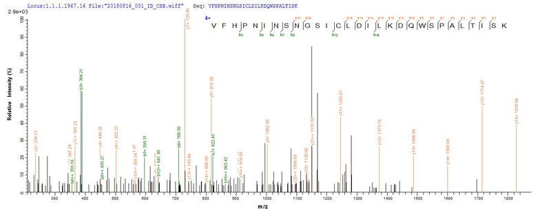 Based on the SEQUEST from database of E.coli host and target protein, the LC-MS/MS Analysis result of this product could indicate that this peptide derived from E.coli-expressed Oryza sativa subsp. japonica (Rice) UBC5A.Recombinant Oryza Sativa Subsp. Japonica Ubiquitin-Conjugating Enzyme E2 5A (UBC5A) Protein (His&Myc)
