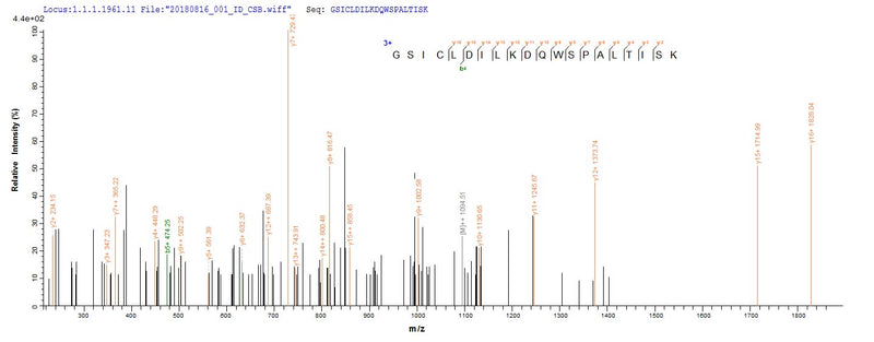 Based on the SEQUEST from database of E.coli host and target protein, the LC-MS/MS Analysis result of this product could indicate that this peptide derived from E.coli-expressed Oryza sativa subsp. japonica (Rice) UBC5A.Recombinant Oryza Sativa Subsp. Japonica Ubiquitin-Conjugating Enzyme E2 5A (UBC5A) Protein (His&Myc)