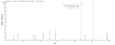 Based on the SEQUEST from database of E.coli host and target protein, the LC-MS/MS Analysis result of this product could indicate that this peptide derived from E.coli-expressed Escherichia coli O157:H7 ompC.