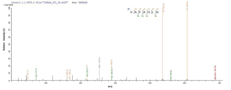 Based on the SEQUEST from database of E.coli host and target protein, the LC-MS/MS Analysis result of this product could indicate that this peptide derived from E.coli-expressed Escherichia coli O157:H7 ompC.