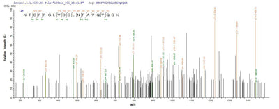 Based on the SEQUEST from database of E.coli host and target protein, the LC-MS/MS Analysis result of this product could indicate that this peptide derived from E.coli-expressed Escherichia coli O157:H7 ompC.