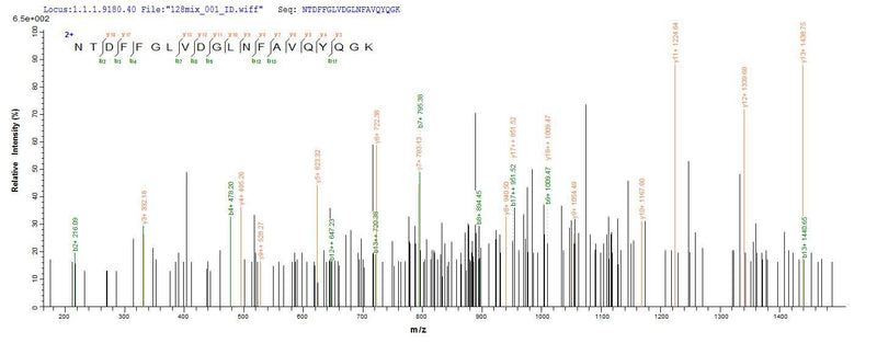 Based on the SEQUEST from database of E.coli host and target protein, the LC-MS/MS Analysis result of this product could indicate that this peptide derived from E.coli-expressed Escherichia coli O157:H7 ompC.