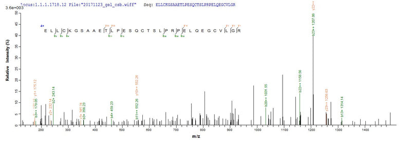 Based on the SEQUEST from database of E.coli host and target protein, the LC-MS/MS Analysis result of this product could indicate that this peptide derived from E.coli-expressed Homo sapiens (Human) ADAMTS18.Recombinant Human A Disintegrin And Metalloproteinase With Thrombospondin Motifs 18 (ADAMTS18) Protein (His)