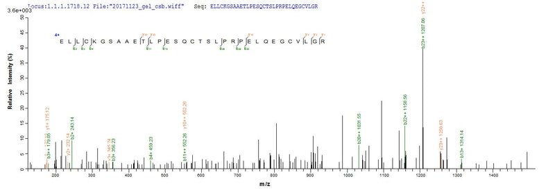 Based on the SEQUEST from database of E.coli host and target protein, the LC-MS/MS Analysis result of this product could indicate that this peptide derived from E.coli-expressed Homo sapiens (Human) ADAMTS18.