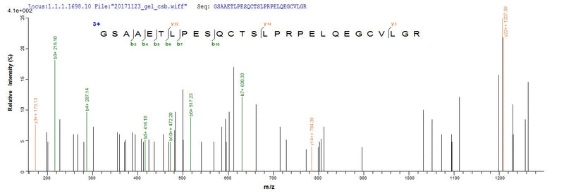 Based on the SEQUEST from database of E.coli host and target protein, the LC-MS/MS Analysis result of this product could indicate that this peptide derived from E.coli-expressed Homo sapiens (Human) ADAMTS18.Recombinant Human A Disintegrin And Metalloproteinase With Thrombospondin Motifs 18 (ADAMTS18) Protein (His)