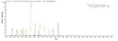 Based on the SEQUEST from database of E.coli host and target protein, the LC-MS/MS Analysis result of this product could indicate that this peptide derived from E.coli-expressed Homo sapiens (Human) RB1CC1.