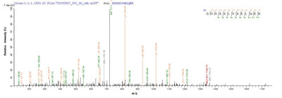 Based on the SEQUEST from database of E.coli host and target protein, the LC-MS/MS Analysis result of this product could indicate that this peptide derived from E.coli-expressed Homo sapiens (Human) RB1CC1.
