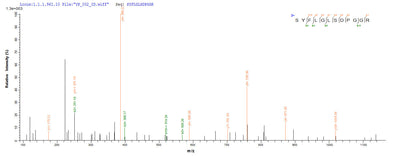 Based on the SEQUEST from database of E.coli host and target protein, the LC-MS/MS Analysis result of this product could indicate that this peptide derived from E.coli-expressed Homo sapiens (Human) CLEC4C.Recombinant Human C-Type Lectin Domain Family 4 Member C (CLEC4C) Protein (His-SUMO), Active