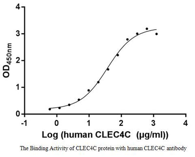 Measured by its binding ability in a functional ELISA. Immobilized CLEC4C protein at 1 μg/ml can bind human CLEC4C antibody, the EC 50 of human CLEC4C antibody is 31.43-43.52 μg/ml.Recombinant Human C-Type Lectin Domain Family 4 Member C (CLEC4C) Protein (His-SUMO), Active