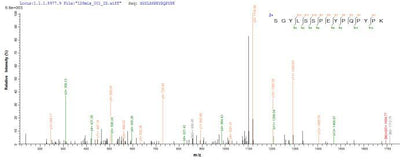 Based on the SEQUEST from database of E.coli host and target protein, the LC-MS/MS Analysis result of this product could indicate that this peptide derived from E.coli-expressed Mus musculus (Mouse) Masp2.Recombinant Mouse Mannan-Binding Lectin Serine Protease 2 (MASP2) Protein (His)