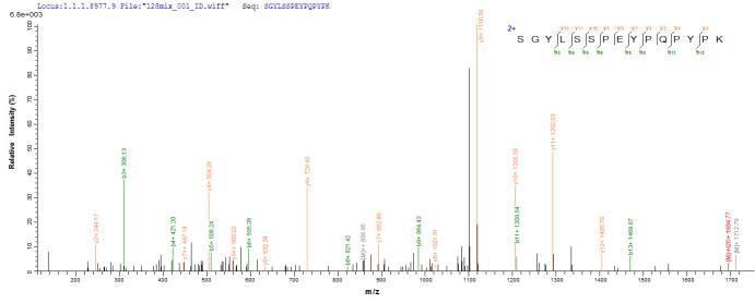 Based on the SEQUEST from database of E.coli host and target protein, the LC-MS/MS Analysis result of this product could indicate that this peptide derived from E.coli-expressed Mus musculus (Mouse) Masp2.Recombinant Mouse Mannan-Binding Lectin Serine Protease 2 (MASP2) Protein (His)
