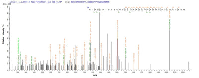 Based on the SEQUEST from database of E.coli host and target protein, the LC-MS/MS Analysis result of this product could indicate that this peptide derived from E.coli-expressed Chamaecyparis obtusa (Hinoki false-cypress) N/A.Recombinant Chamaecyparis Obtusa Pectate Lyase 1 Protein (His-SUMO)