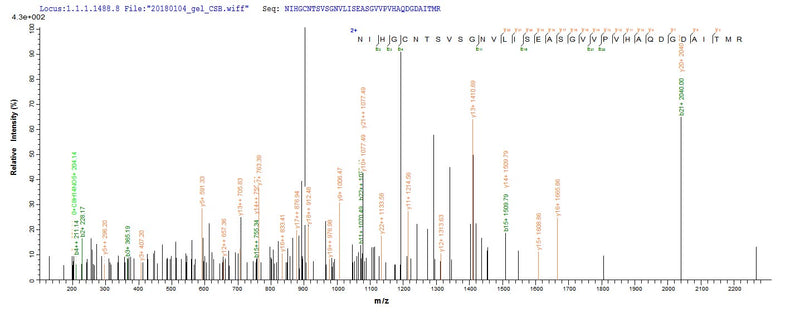 Based on the SEQUEST from database of E.coli host and target protein, the LC-MS/MS Analysis result of this product could indicate that this peptide derived from E.coli-expressed Chamaecyparis obtusa (Hinoki false-cypress) N/A.Recombinant Chamaecyparis Obtusa Pectate Lyase 1 Protein (His-SUMO)
