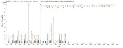 Based on the SEQUEST from database of E.coli host and target protein, the LC-MS/MS Analysis result of this product could indicate that this peptide derived from E.coli-expressed Chamaecyparis obtusa (Hinoki false-cypress) N/A.Recombinant Chamaecyparis Obtusa Pectate Lyase 1 Protein (His-SUMO)