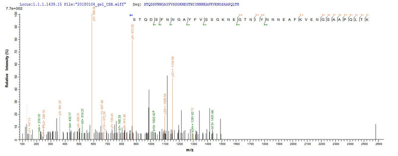 Based on the SEQUEST from database of E.coli host and target protein, the LC-MS/MS Analysis result of this product could indicate that this peptide derived from E.coli-expressed Chamaecyparis obtusa (Hinoki false-cypress) N/A.Recombinant Chamaecyparis Obtusa Pectate Lyase 1 Protein (His-SUMO)