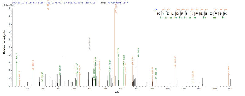 Based on the SEQUEST from database of E.coli host and target protein, the LC-MS/MS Analysis result of this product could indicate that this peptide derived from E.coli-expressed Neosartorya fumigata (strain ATCC MYA-4609 / Af293 / CBS 101355 / FGSC A1100) (Aspergillus fumigatus) enoA.Recombinant Neosartorya Fumigata Enolase (ENOA) Protein (His)