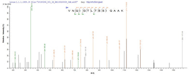 Based on the SEQUEST from database of E.coli host and target protein, the LC-MS/MS Analysis result of this product could indicate that this peptide derived from E.coli-expressed Neosartorya fumigata (strain ATCC MYA-4609 / Af293 / CBS 101355 / FGSC A1100) (Aspergillus fumigatus) enoA.Recombinant Neosartorya Fumigata Enolase (ENOA) Protein (His)