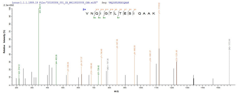 Based on the SEQUEST from database of E.coli host and target protein, the LC-MS/MS Analysis result of this product could indicate that this peptide derived from E.coli-expressed Neosartorya fumigata (strain ATCC MYA-4609 / Af293 / CBS 101355 / FGSC A1100) (Aspergillus fumigatus) enoA.Recombinant Neosartorya Fumigata Enolase (ENOA) Protein (His)
