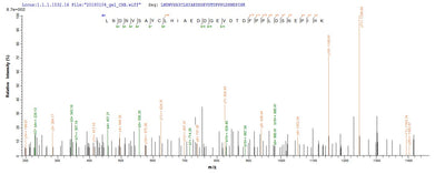 Based on the SEQUEST from database of E.coli host and target protein, the LC-MS/MS Analysis result of this product could indicate that this peptide derived from E.coli-expressed Homo sapiens (Human) MAPKAP1.