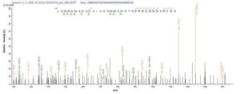 Based on the SEQUEST from database of E.coli host and target protein, the LC-MS/MS Analysis result of this product could indicate that this peptide derived from E.coli-expressed Homo sapiens (Human) MAPKAP1.