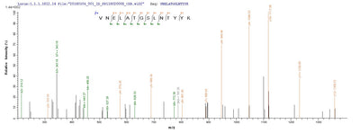 Based on the SEQUEST from database of E.coli host and target protein, the LC-MS/MS Analysis result of this product could indicate that this peptide derived from E.coli-expressed Staphylococcus aureus (strain N315) scn.Recombinant Staphylococcus Aureus Staphylococcal Complement Inhibitor (SCN) Protein (His-SUMO)