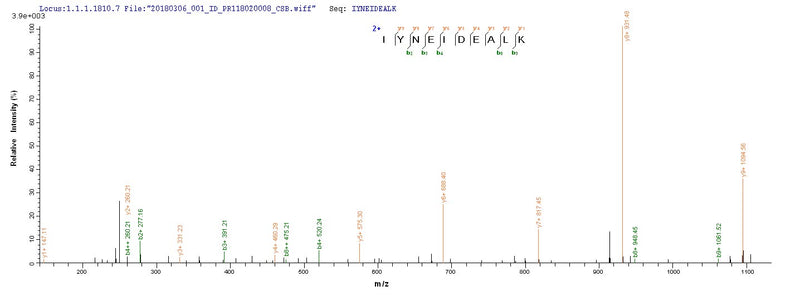 Based on the SEQUEST from database of E.coli host and target protein, the LC-MS/MS Analysis result of this product could indicate that this peptide derived from E.coli-expressed Staphylococcus aureus (strain N315) scn.Recombinant Staphylococcus Aureus Staphylococcal Complement Inhibitor (SCN) Protein (His-SUMO)
