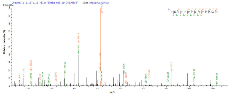 Based on the SEQUEST from database of E.coli host and target protein, the LC-MS/MS Analysis result of this product could indicate that this peptide derived from E.coli-expressed Homo sapiens (Human) WDR77.Recombinant Human Methylosome Protein 50 (WDR77) Protein (His-SUMO)