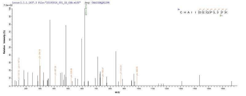 Based on the SEQUEST from database of E.coli host and target protein, the LC-MS/MS Analysis result of this product could indicate that this peptide derived from E.coli-expressed Mus musculus (Mouse) Lims1.Recombinant Mouse Lim And Senescent Cell Antigen-Like-Containing Domain Protein 1 (LIMS1)