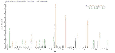 Based on the SEQUEST from database of E.coli host and target protein, the LC-MS/MS Analysis result of this product could indicate that this peptide derived from E.coli-expressed Homo sapiens (Human) MYD88.Recombinant Human Myeloid Differentiation Primary Response Protein Myd88 (MYD88) Protein (His)