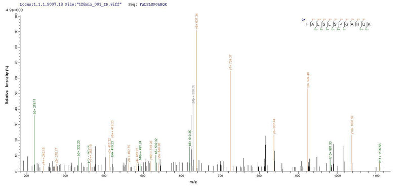 Based on the SEQUEST from database of E.coli host and target protein, the LC-MS/MS Analysis result of this product could indicate that this peptide derived from E.coli-expressed Homo sapiens (Human) MYD88.Recombinant Human Myeloid Differentiation Primary Response Protein Myd88 (MYD88) Protein (His)