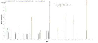 Based on the SEQUEST from database of E.coli host and target protein, the LC-MS/MS Analysis result of this product could indicate that this peptide derived from E.coli-expressed Mus musculus (Mouse) Tmem27.Recombinant Mouse Collectrin (CLTRN) Protein (His-SUMO&Myc)