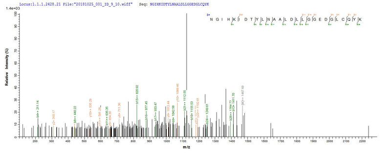 Based on the SEQUEST from database of E.coli host and target protein, the LC-MS/MS Analysis result of this product could indicate that this peptide derived from E.coli-expressed Mus musculus (Mouse) PLA2G12A.