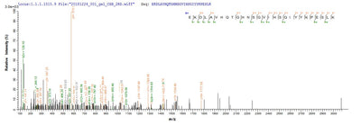 Based on the SEQUEST from database of E.coli host and target protein, the LC-MS/MS Analysis result of this product could indicate that this peptide derived from E.coli-expressed Homo sapiens (Human) L2HGDH.Recombinant Human L-2-Hydroxyglutarate Dehydrogenase, Mitochondrial (L2HGDH) Protein (His-SUMO)