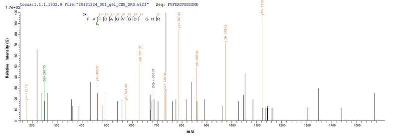 Based on the SEQUEST from database of E.coli host and target protein, the LC-MS/MS Analysis result of this product could indicate that this peptide derived from E.coli-expressed Homo sapiens (Human) L2HGDH.Recombinant Human L-2-Hydroxyglutarate Dehydrogenase, Mitochondrial (L2HGDH) Protein (His-SUMO)