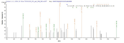 Based on the SEQUEST from database of E.coli host and target protein, the LC-MS/MS Analysis result of this product could indicate that this peptide derived from E.coli-expressed Mus musculus (Mouse) Bag3.Recombinant Mouse Bag Family Molecular Chaperone Regulator 3 (BAG3) Protein (His-SUMO)