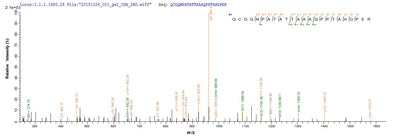 Based on the SEQUEST from database of E.coli host and target protein, the LC-MS/MS Analysis result of this product could indicate that this peptide derived from E.coli-expressed Mus musculus (Mouse) Bag3.Recombinant Mouse Bag Family Molecular Chaperone Regulator 3 (BAG3) Protein (His-SUMO)
