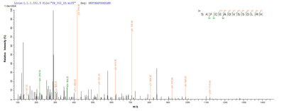 Based on the SEQUEST from database of E.coli host and target protein, the LC-MS/MS Analysis result of this product could indicate that this peptide derived from E.coli-expressed Homo sapiens (Human) C4orf27.Recombinant Human Histone Parylation Factor 1 (HPF1) Protein (His-SUMO&Myc)
